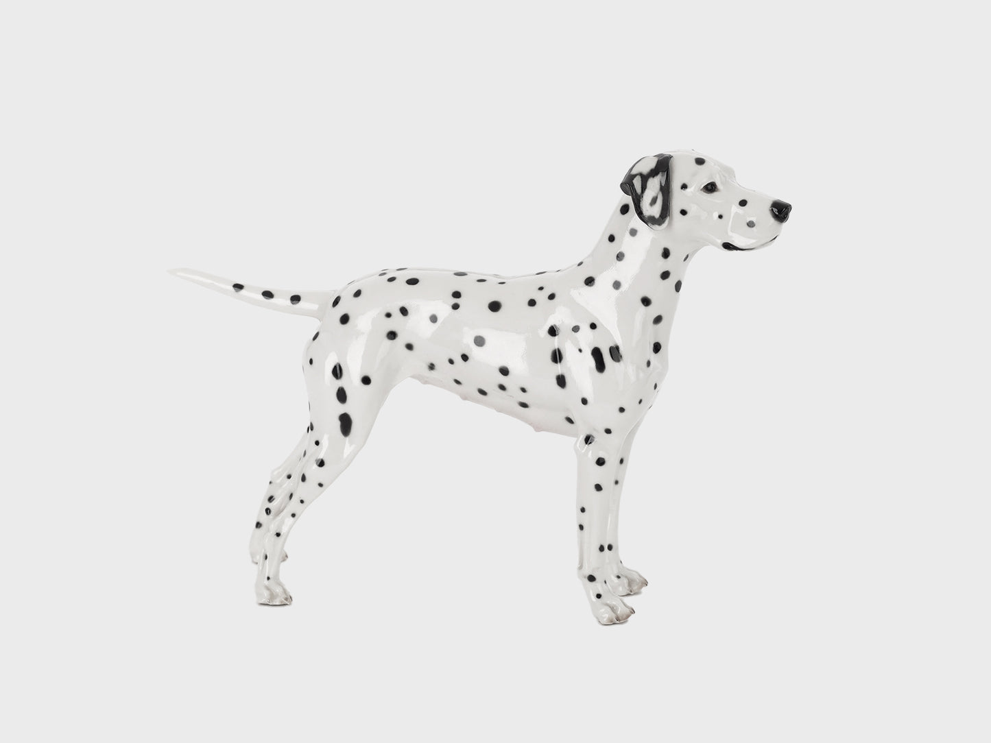 Dalmatian