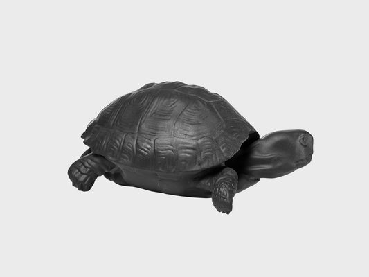 Schildkröte Michael
