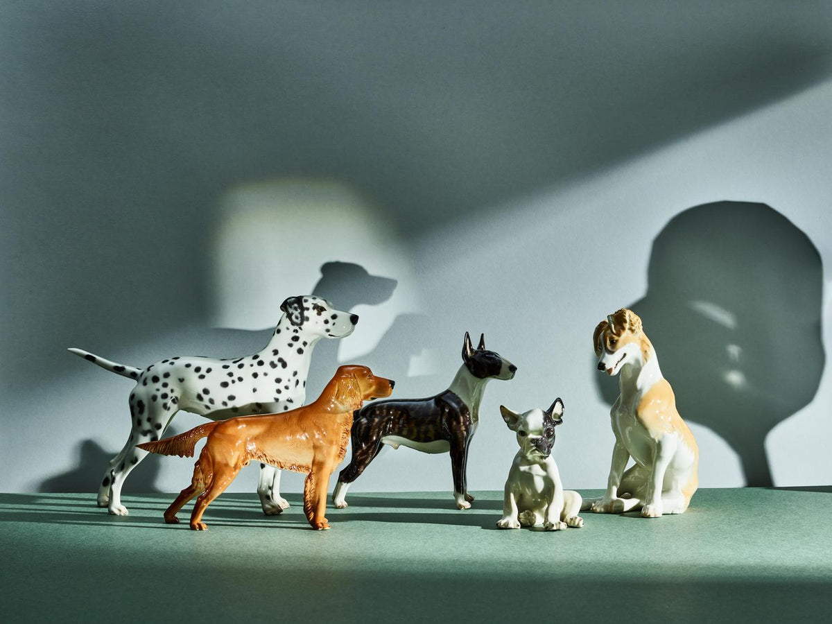 Dalmatian