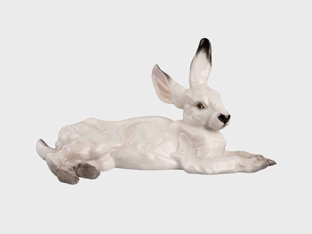 Hare