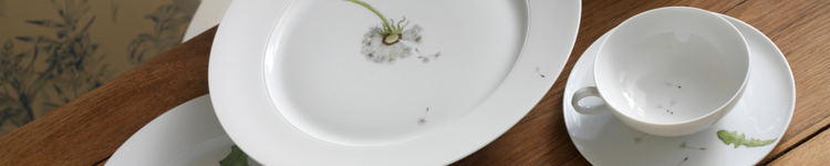Inspiration - Lotos Pusteblume