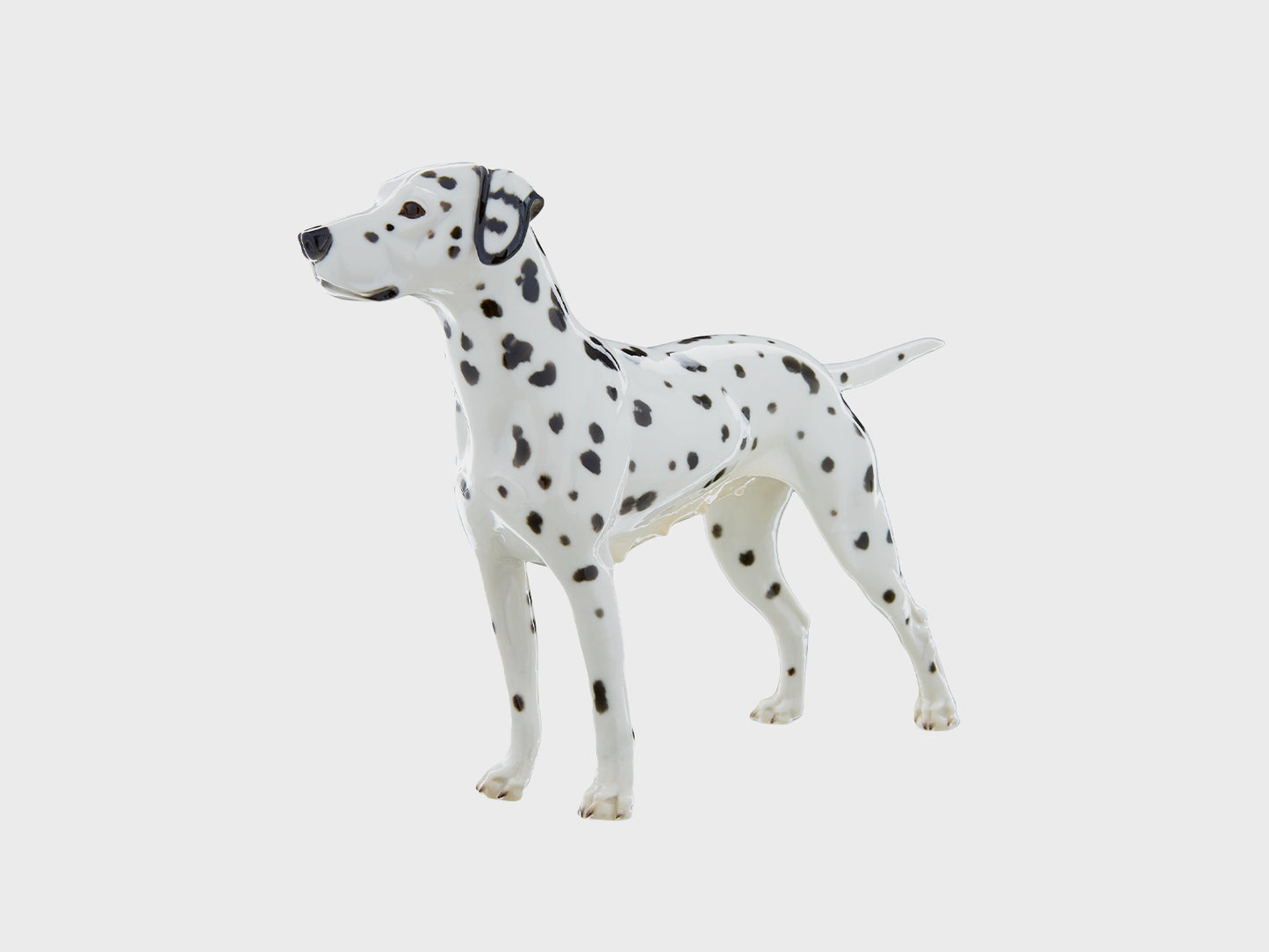 Dalmatian