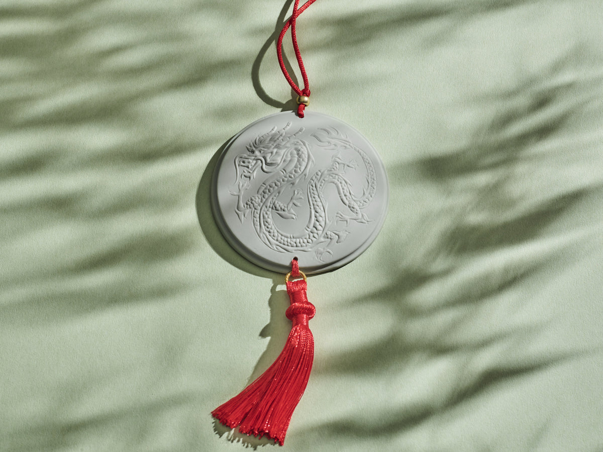 Dragon medallion