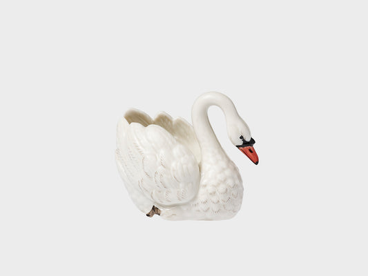 Kleiner Schwan