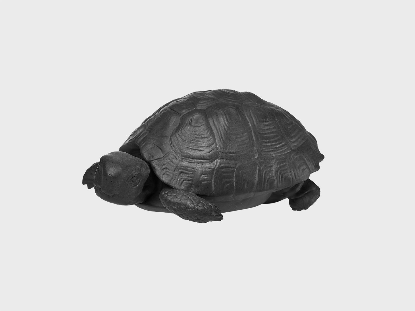 Turtle Michael