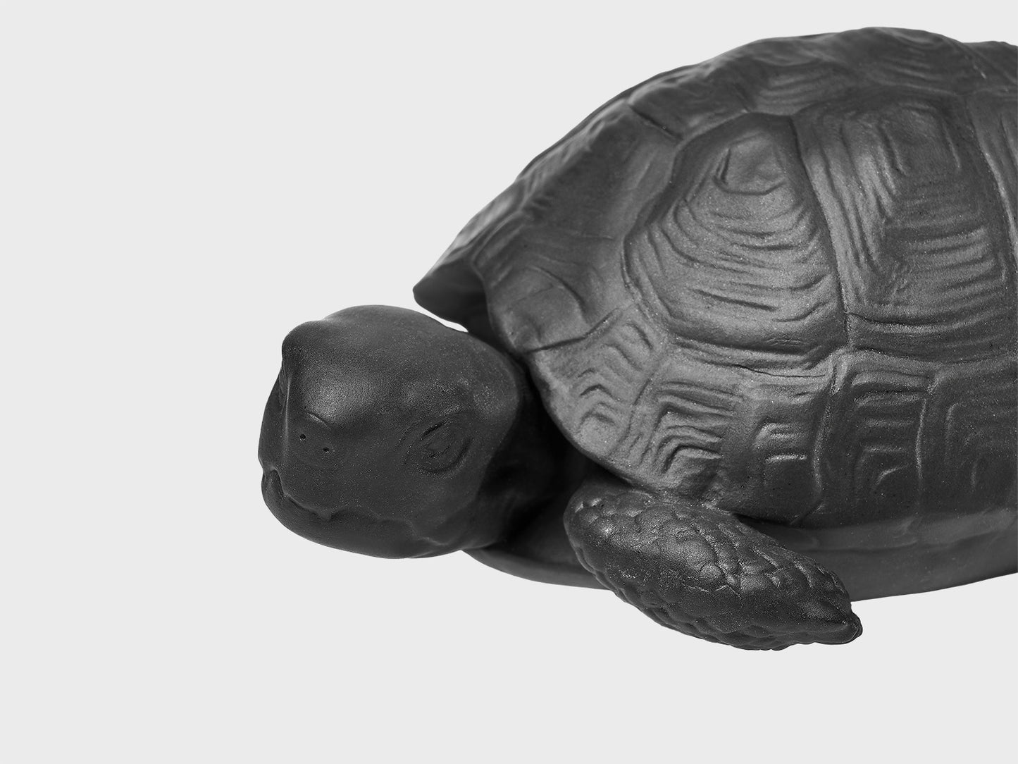 Turtle Michael