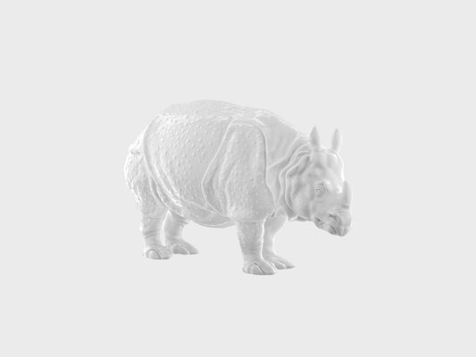 Rhinozeros Clara