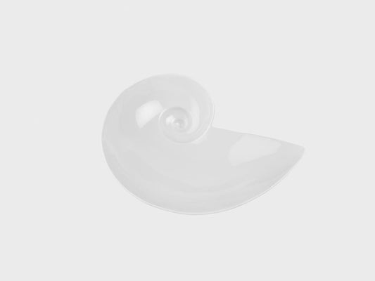 Mondschneckenschale | S