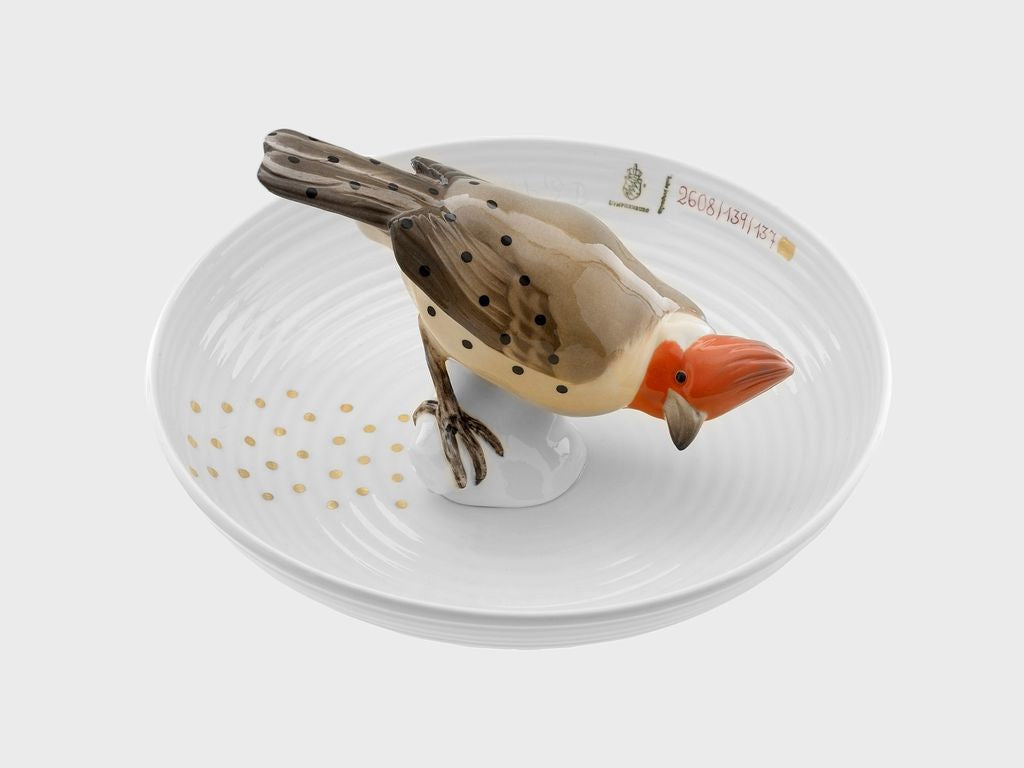 Tierschale Vogel