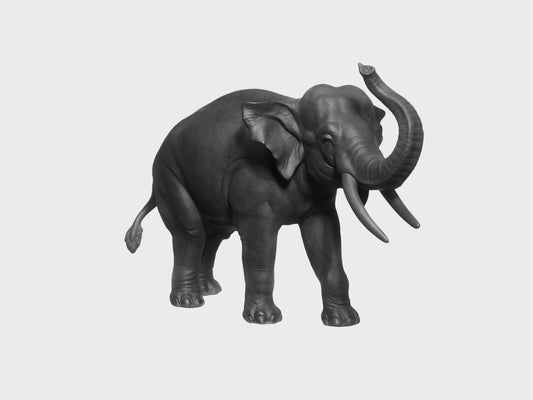Elefant Rüssel aufwärts