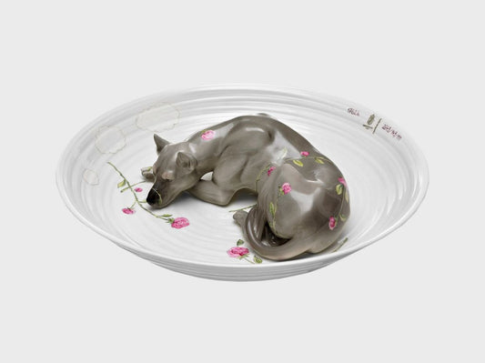 Tierschale Hund