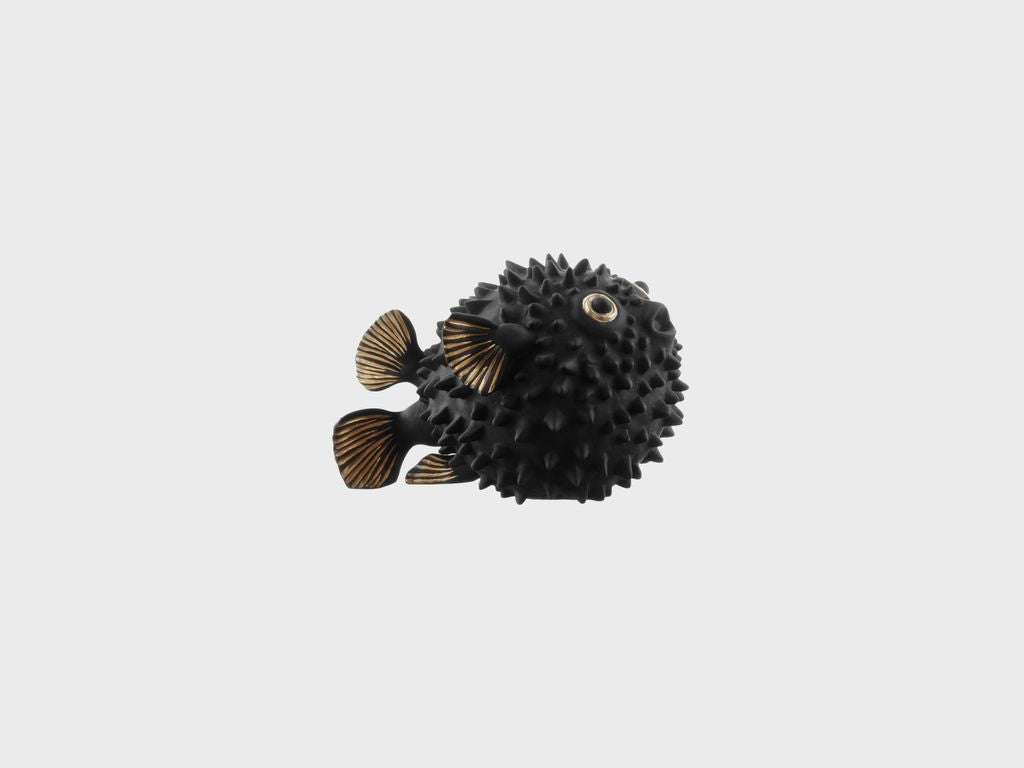 Pufferfish golden eye & golden fin