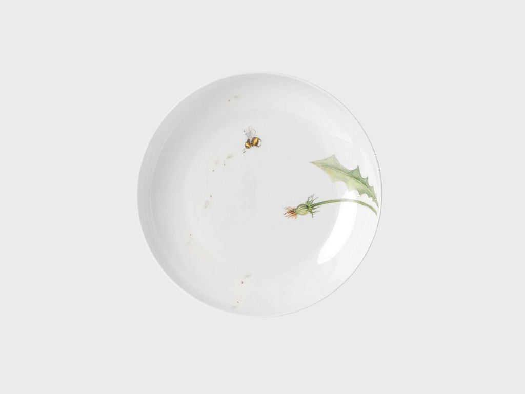Schale | Lotos | Pusteblume
