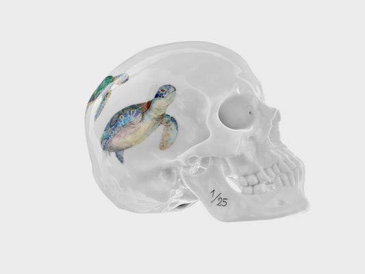 Totenkopf Wasserschildkröte (Limitierte Edition 25 Stück)