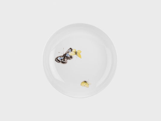 Schale | Lotos | Papilio
